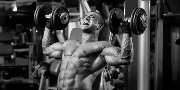 Many alternative functions also include while using these steroids