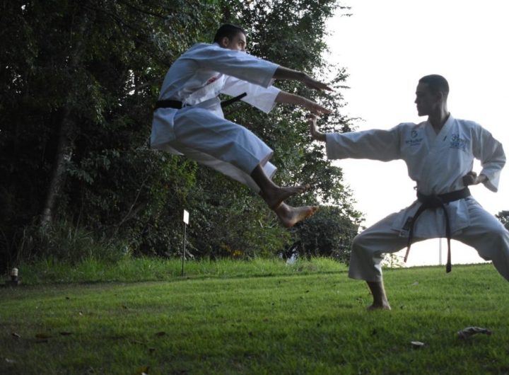 Taekwondo Instructor