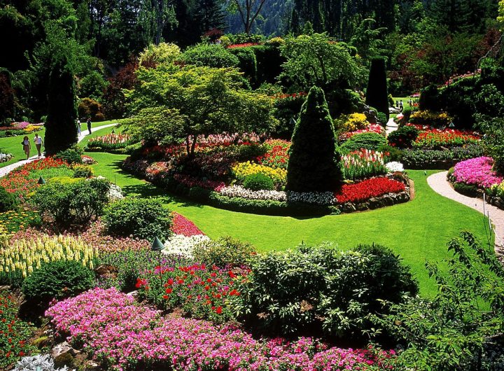Top Most Requested Landscaping Services That You May Need